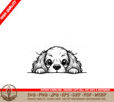 Cocker Spaniel Peek SVG - Digital product, multi-format files.
